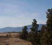 Thanksgiving 2008 163